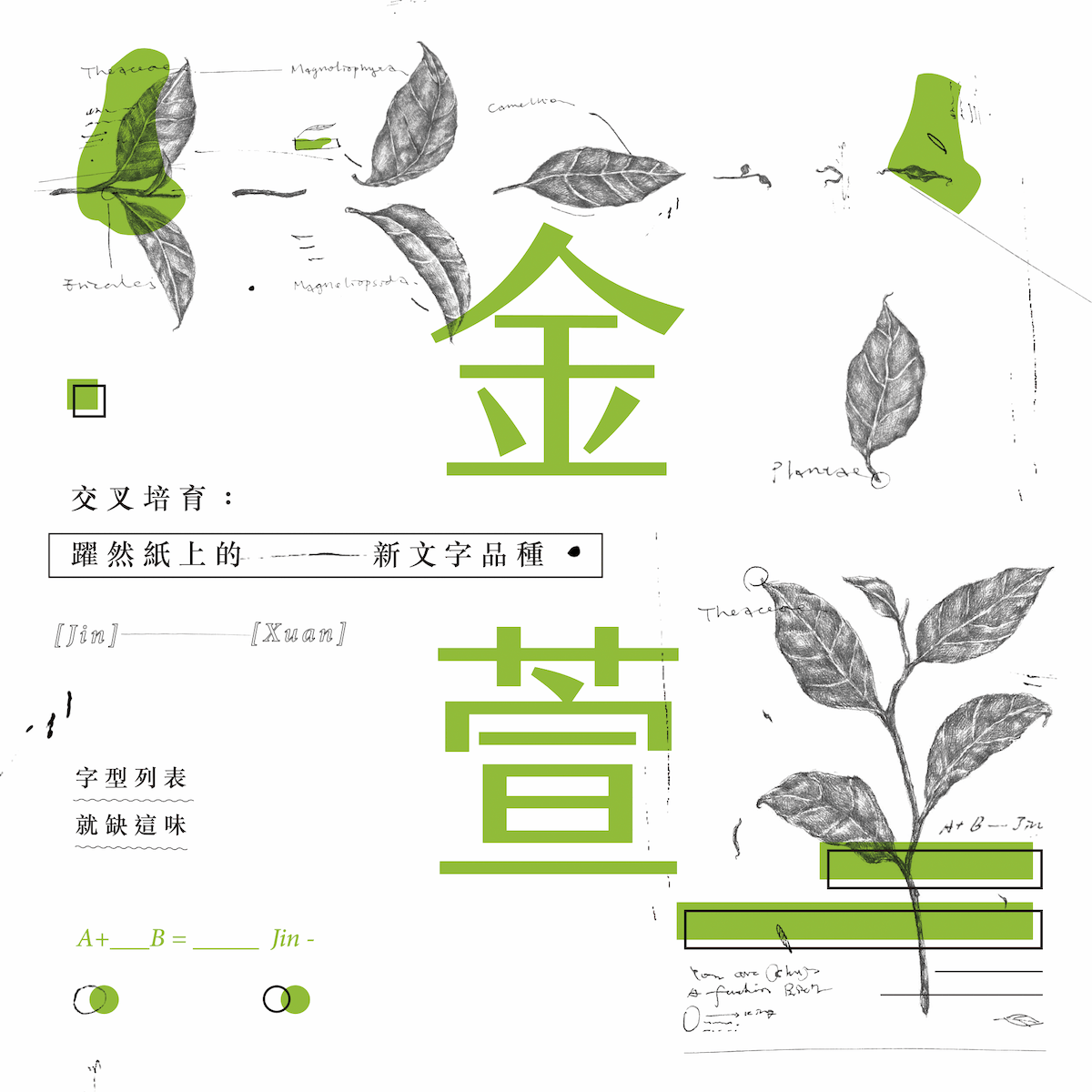 jf 金萱半糖 應用範例